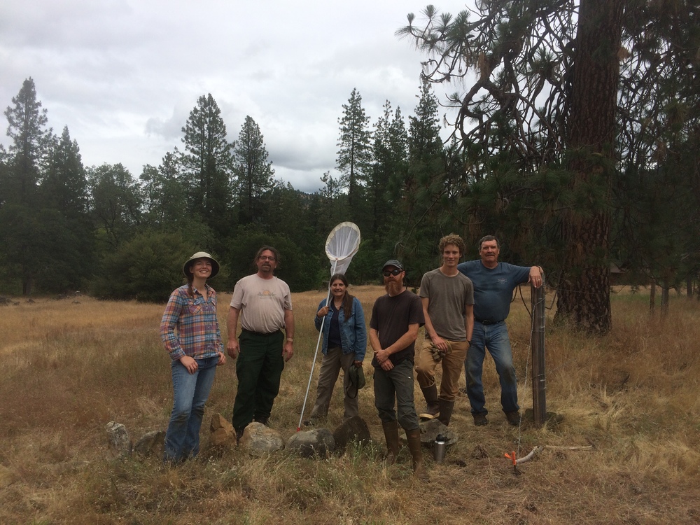 Monarch butterfly and pollinator habitat restoration work party, with participants from the Forest Service, ANN, Southern Oregon Monarch Advocates, and the Applegate River Watershed Council.