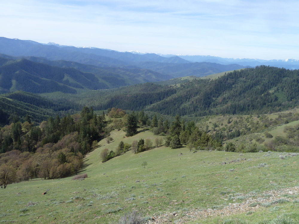 Looking south from the proposed Jack-Ash Trail into the Little Applegate Valley.