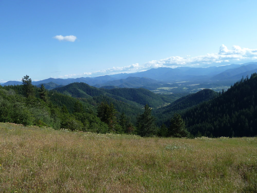 A view down Miners Creek from the proposed West Applegate Ridge Trail. Miners Creek is on the eastern end of the massive Pickett West Planning Area.